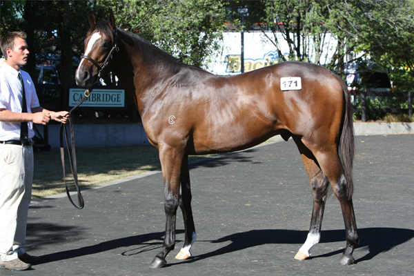 Lot171