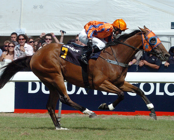 Maroofity450