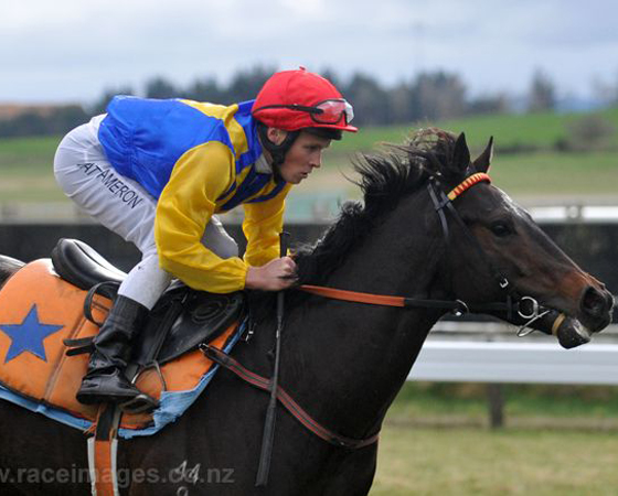 Warhorse560