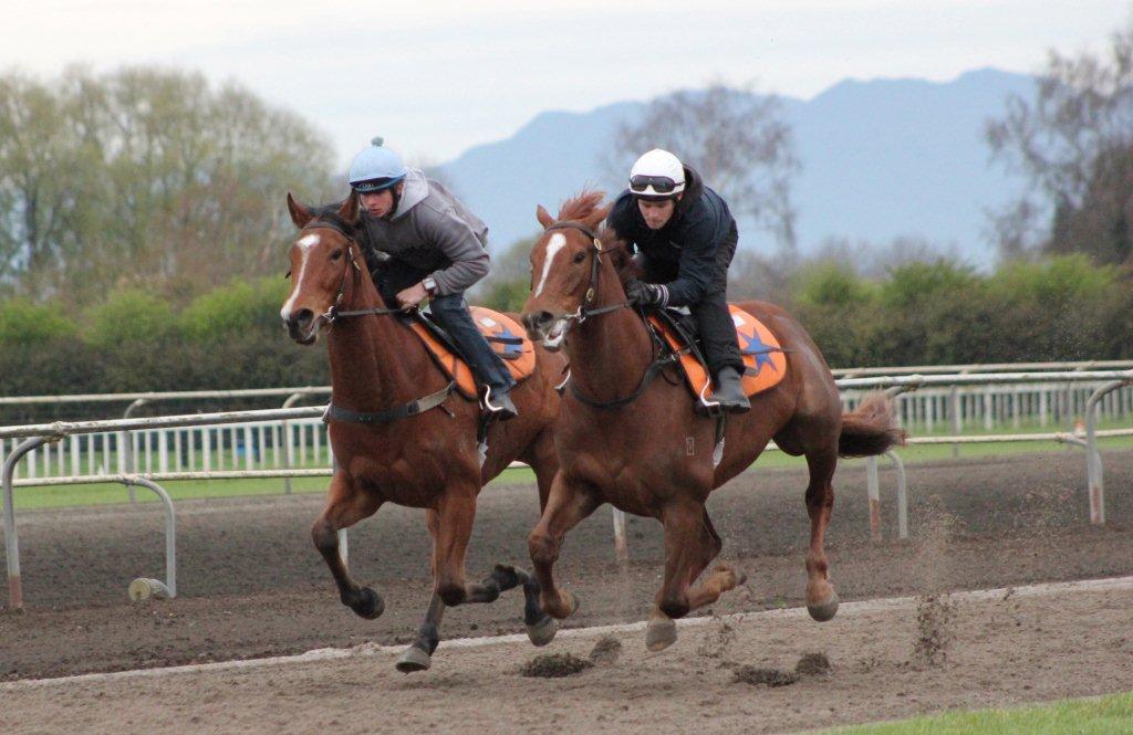 GringoPharo17-9-13