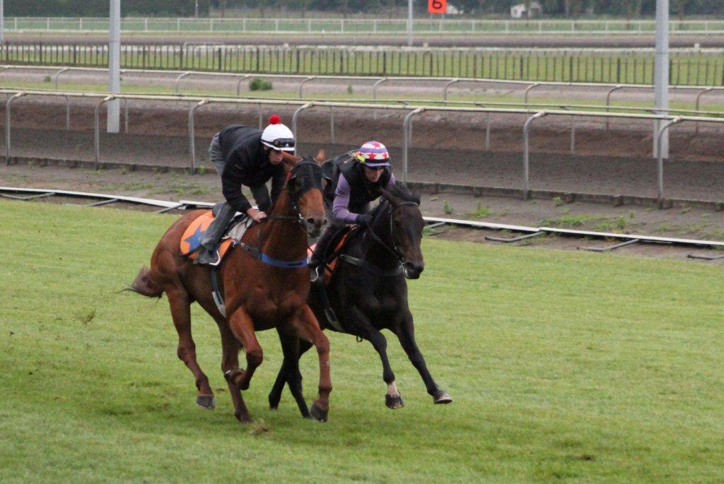 RedErin30-11-13