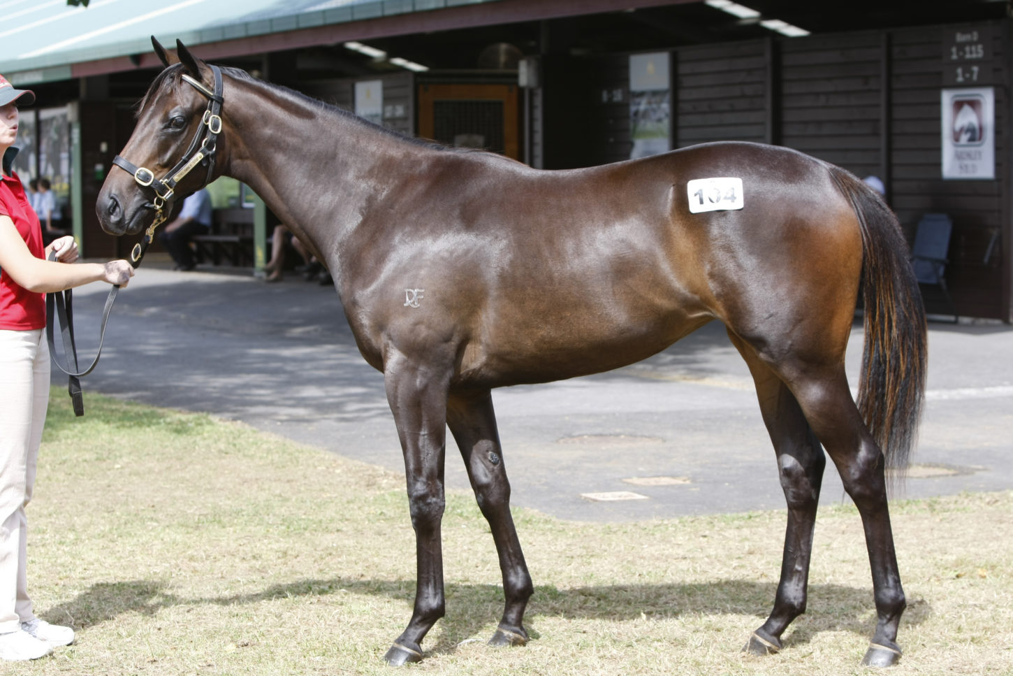 lot 104