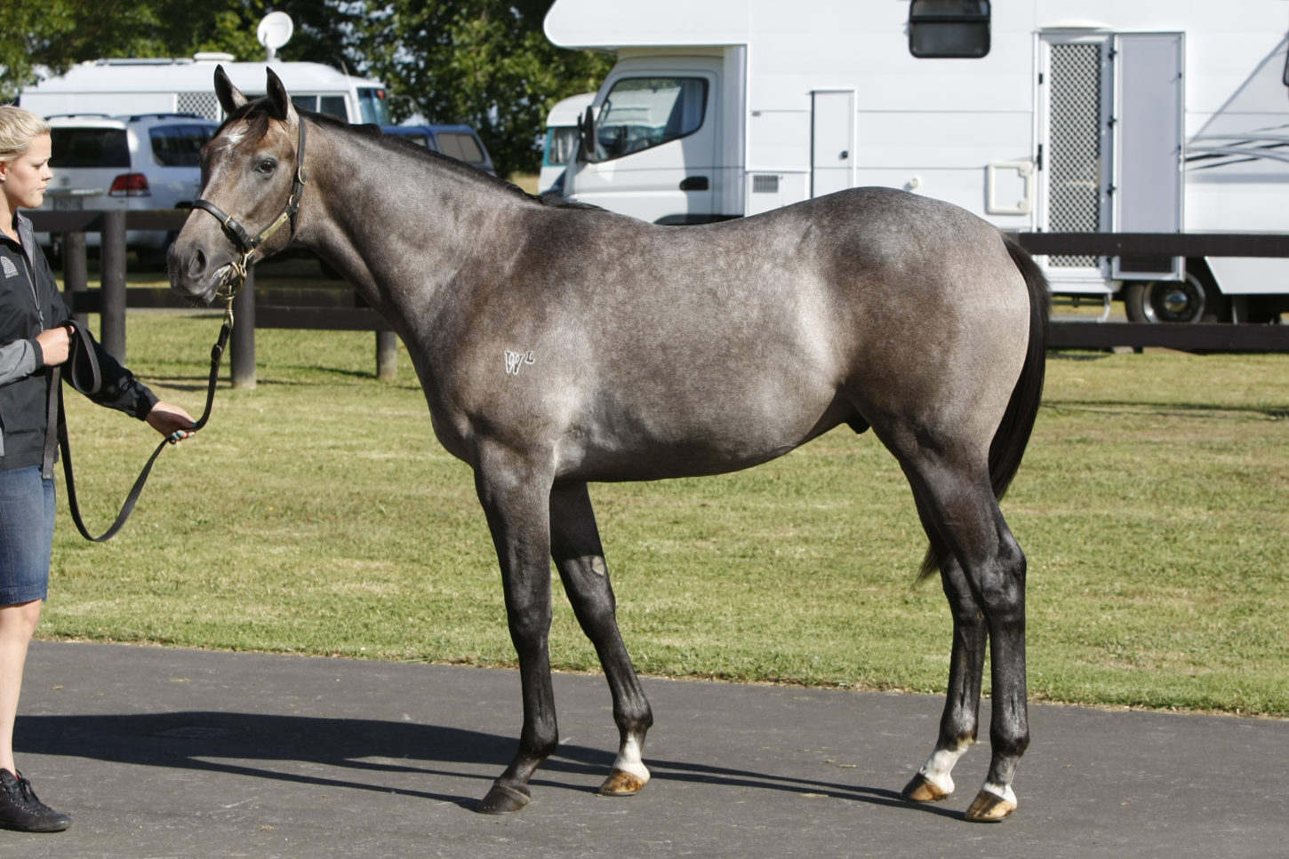 lot 122