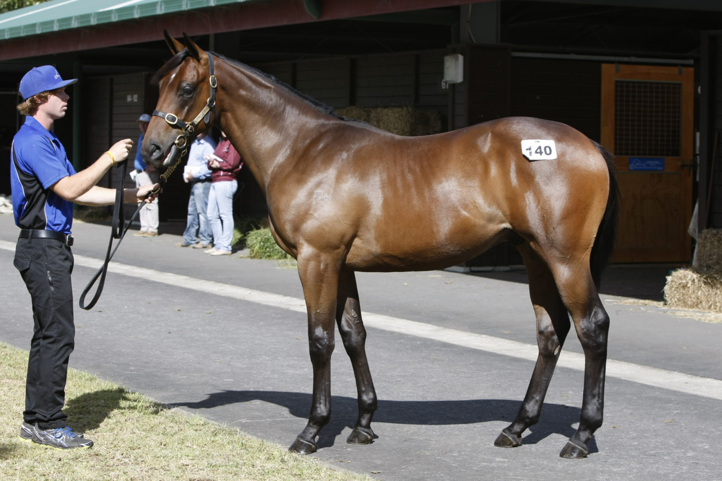 lot 140