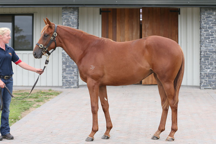 lot 152