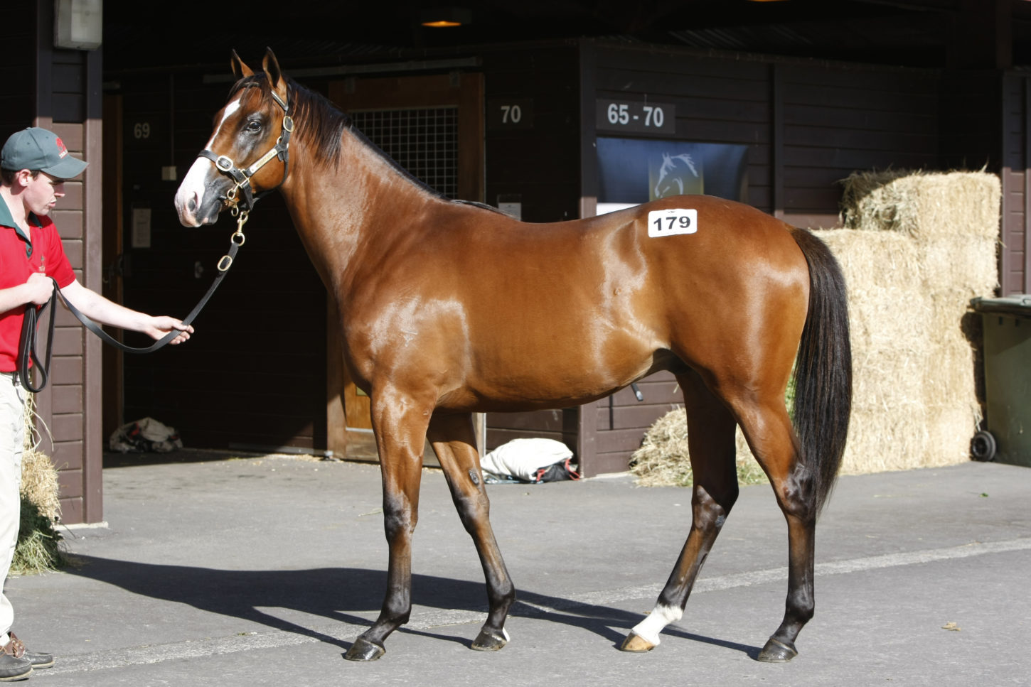 lot 179
