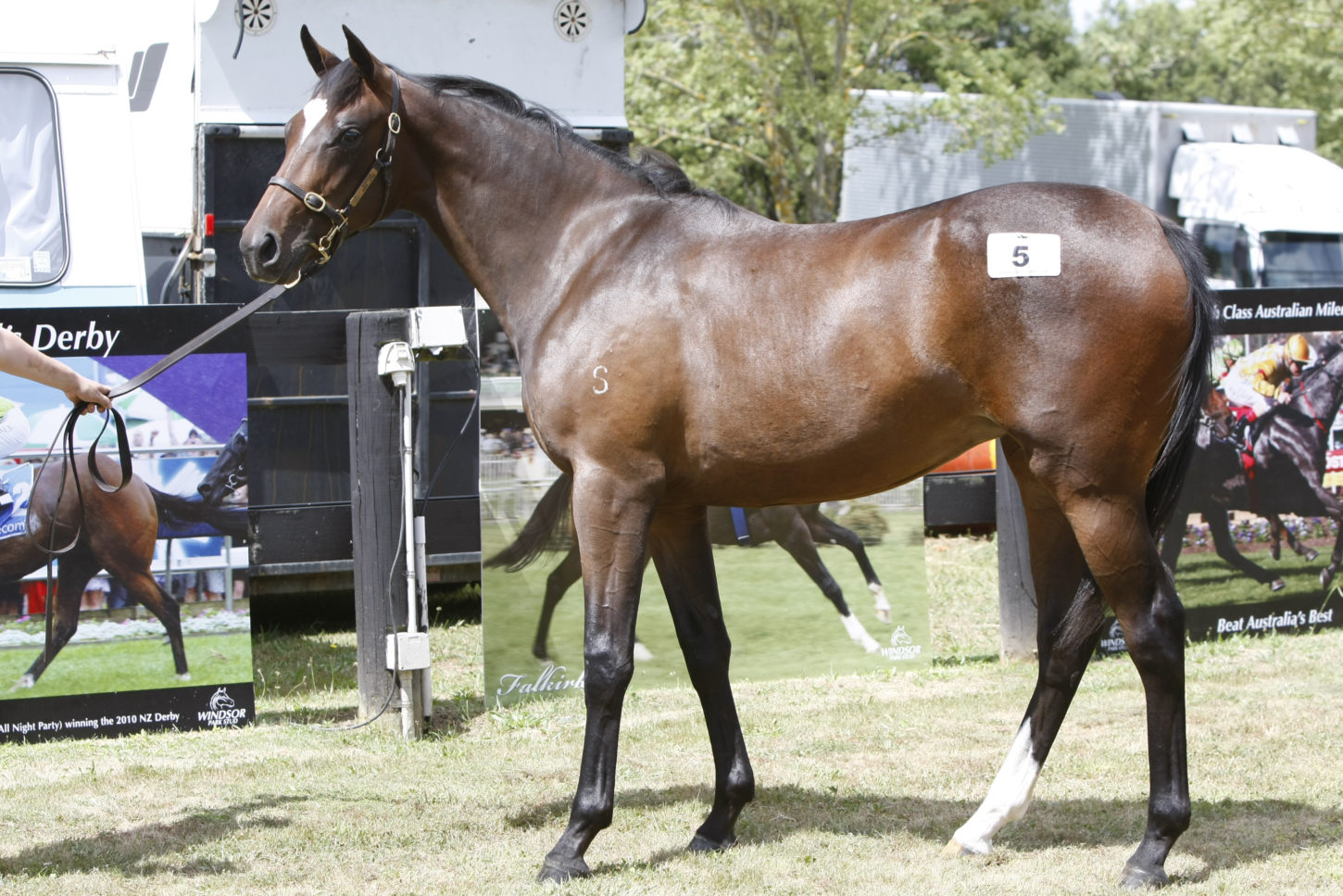 LOT 5 2014