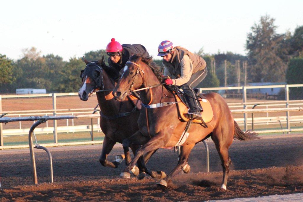 MonzaDavey6-3-14