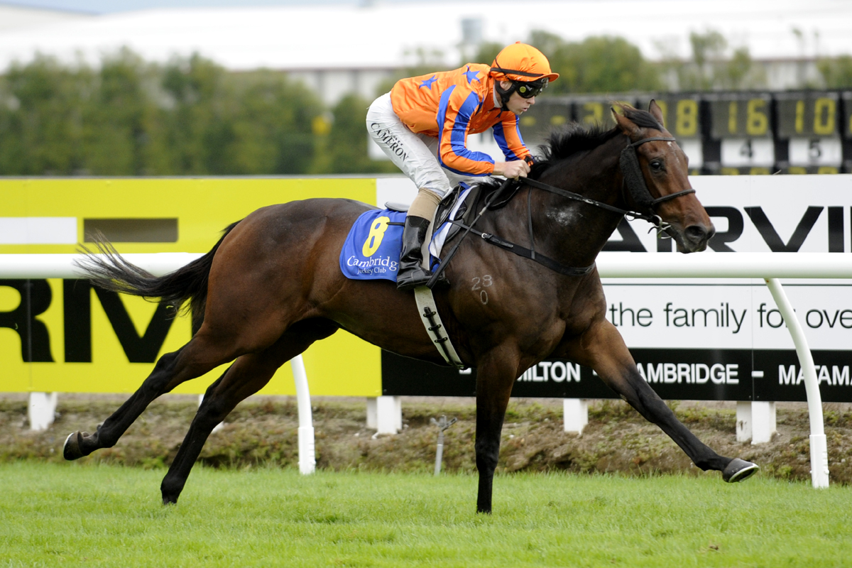 CHAMBORD JEFF te rapa