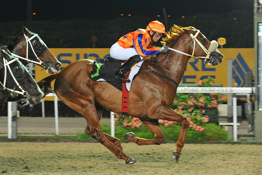 Clutha Lad winning 16 May (2)