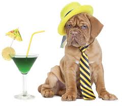 dog cocktail