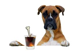 dog cocktail1