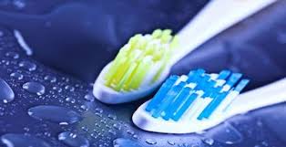 teeth