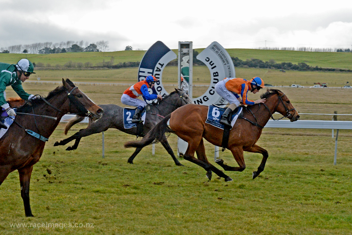 DARCI'S DREAM Tuapo R C 20-8-2014