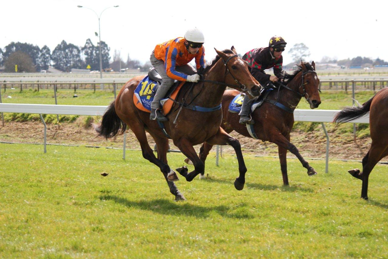 CCassie2ambridgeTrials9-9-14 798