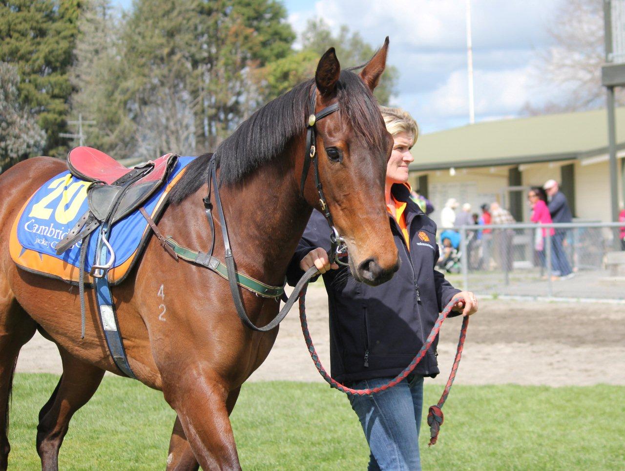 Sancy