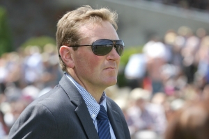 Bridgman Jason 300