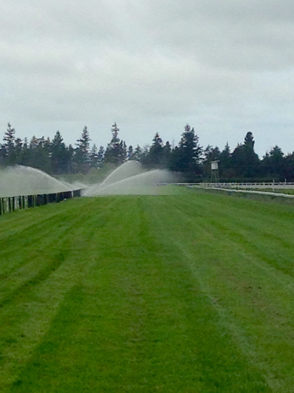ashburton track
