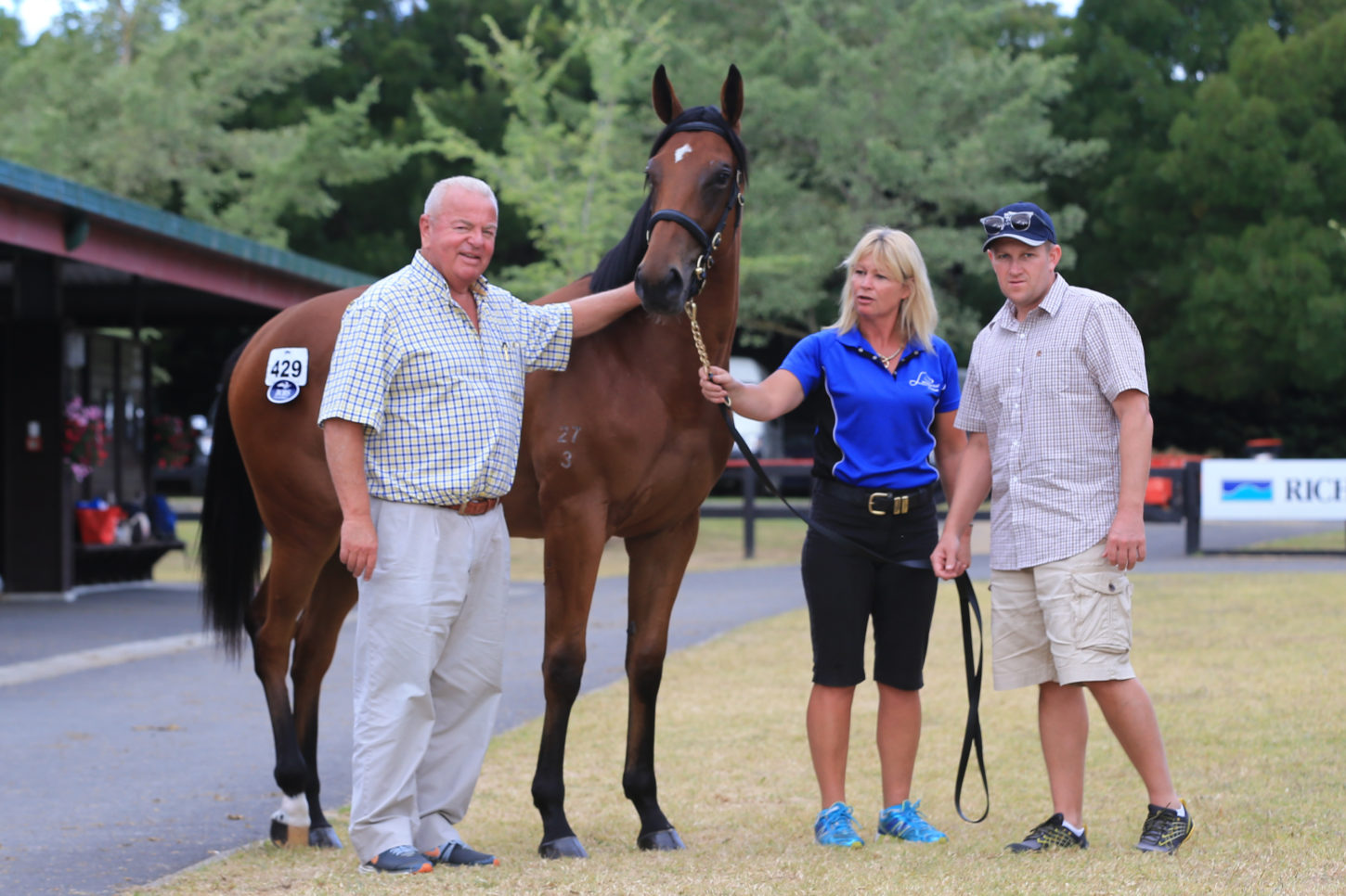 Fastnet Rock x Il Quello Veloce filly Lot 429-5