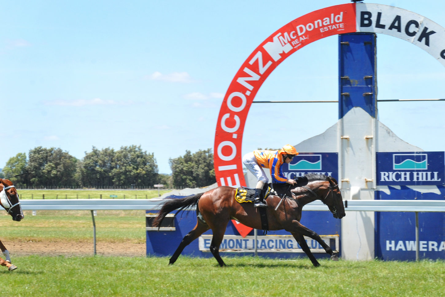 UNSURPASSED HAWERA 11-1-2015