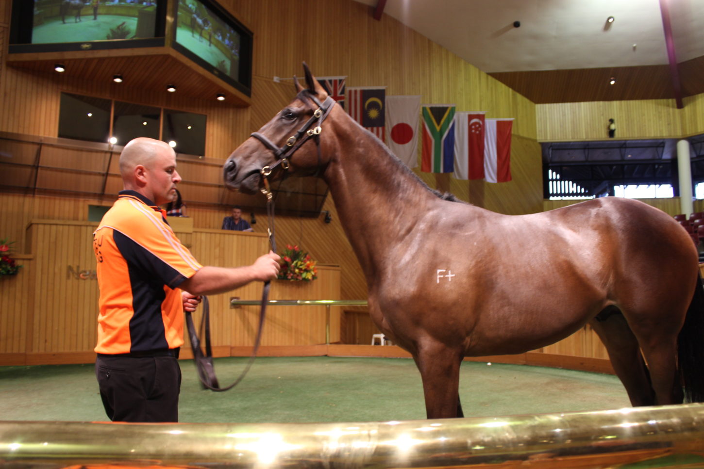 Karaka open day 15