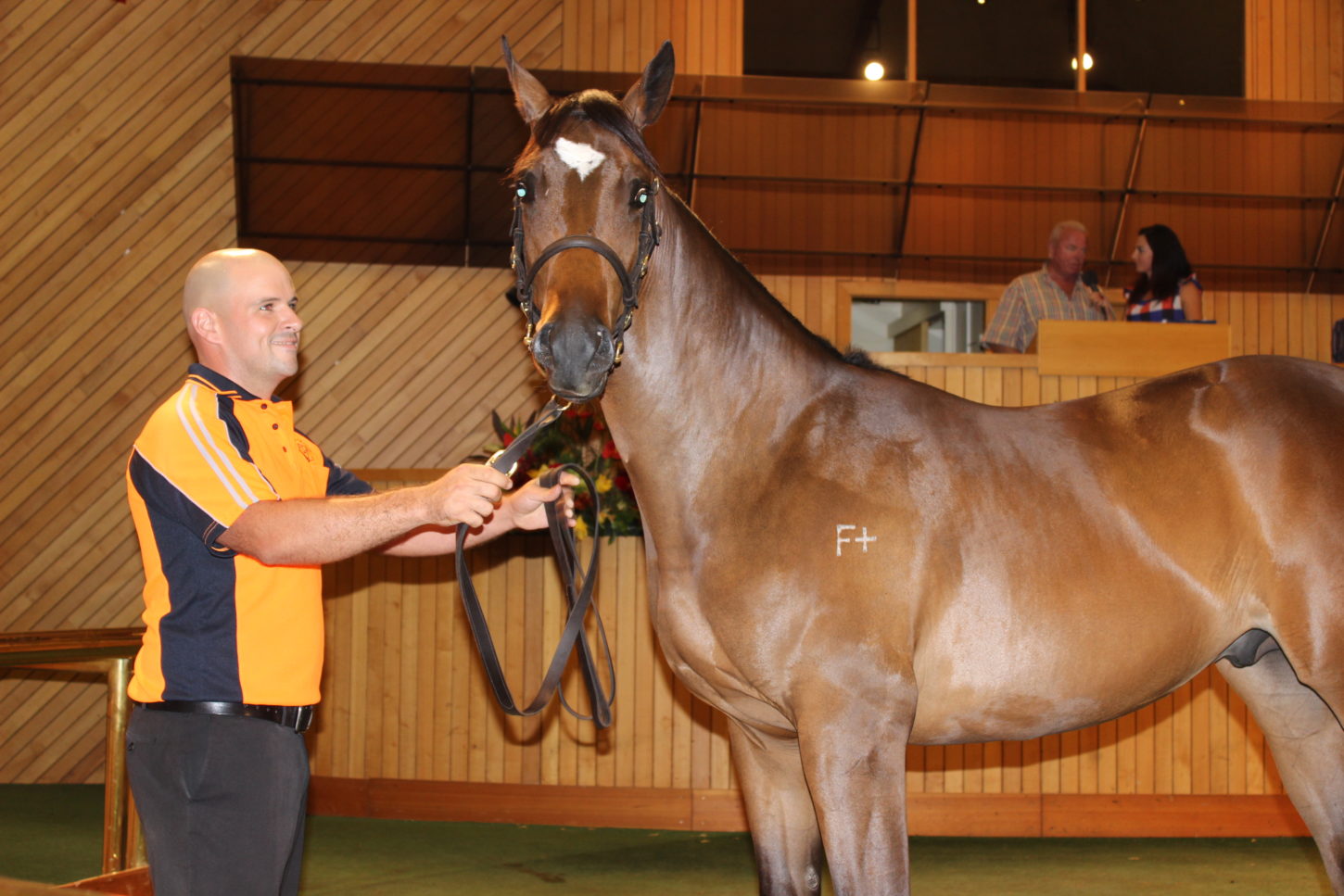 Karaka open day 16