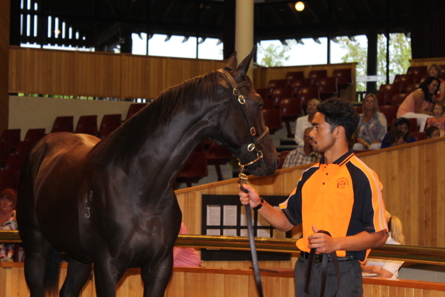 Karaka open day 19