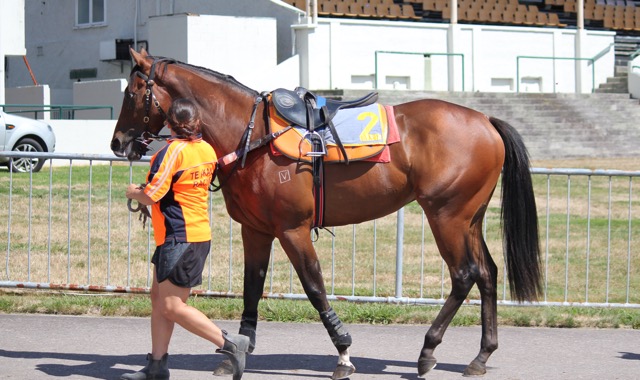 otto Rotorua