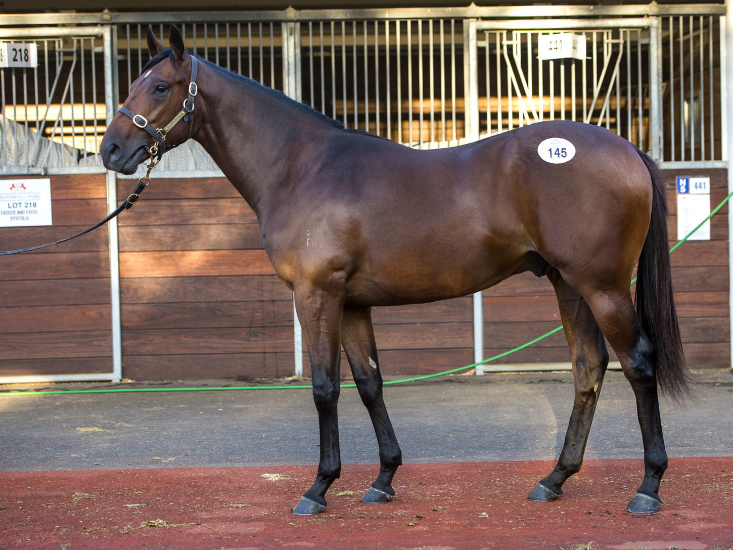 Lot145-O'Reilly-RoyalEra-04072015-2186