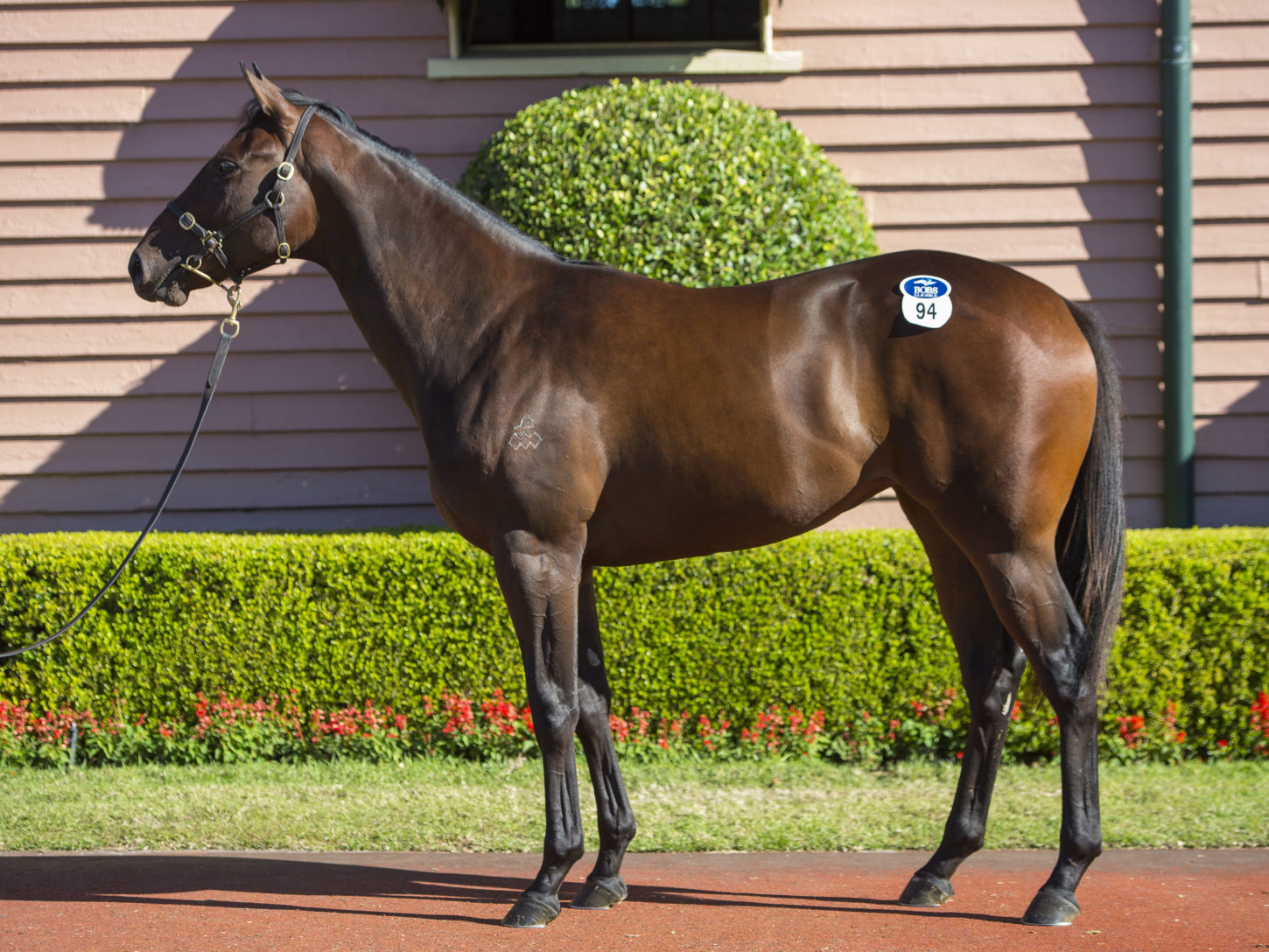 Lot94-SmartMissile-PanoramaRidge-04072015-1913