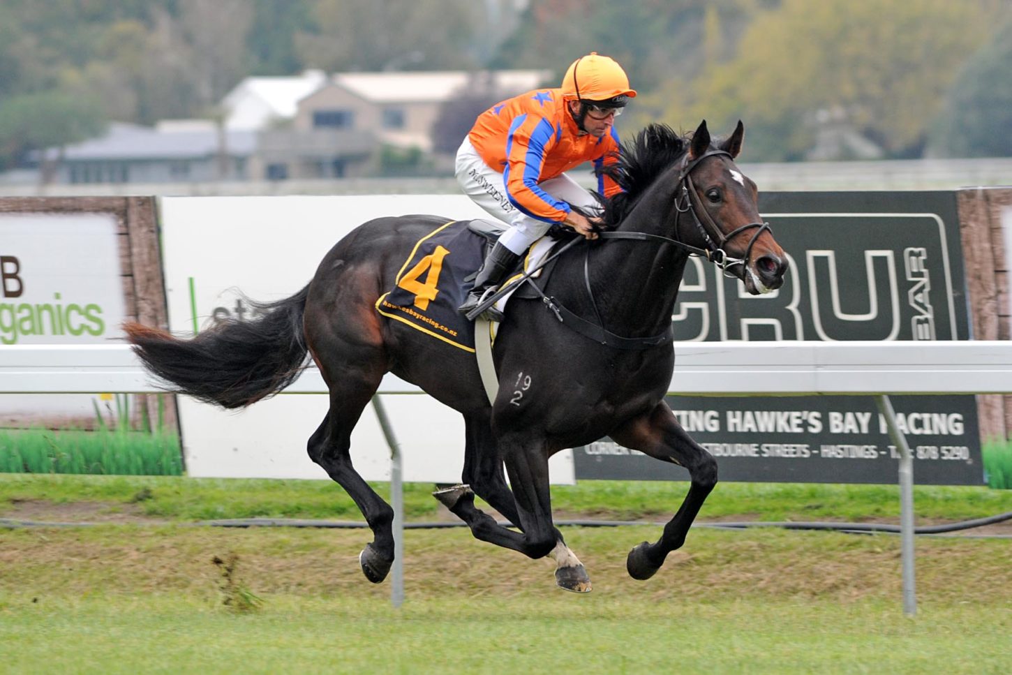 XTRAVAGANT HAWKES BAY 18-4-2015 JEFF
