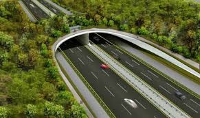 Bridge 4