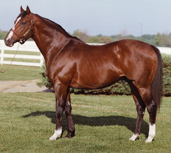 NorthernDancer-cTonyLeonard