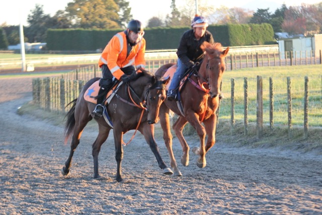 Sydney and Sylvie 1