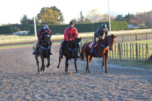 Trio 1 May