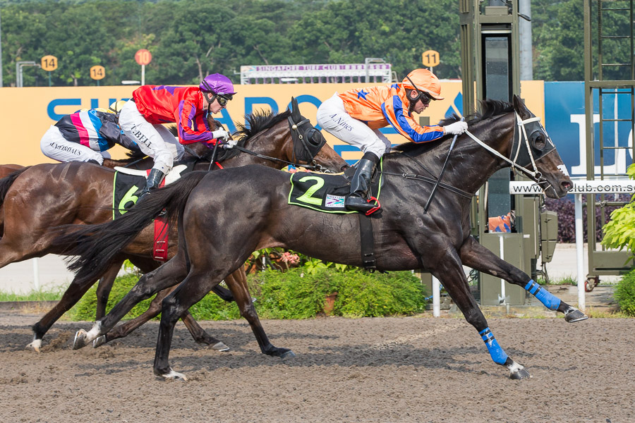 Alpha Centauri Winning Post Sunday 26 July 2015