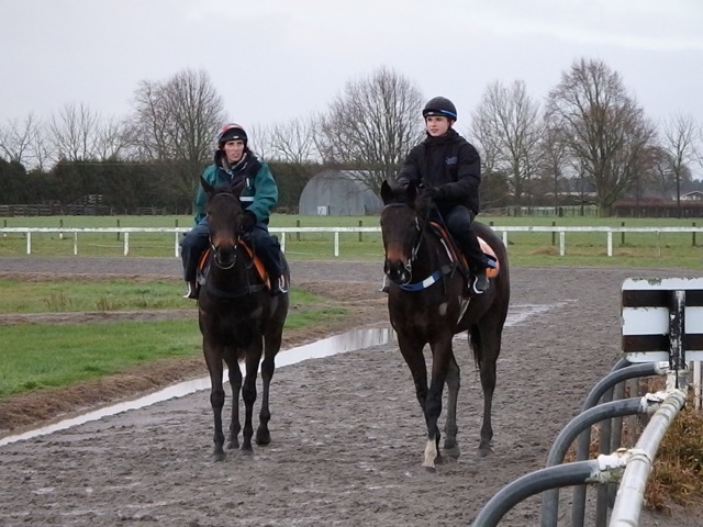 Ebony & Our Abbadean