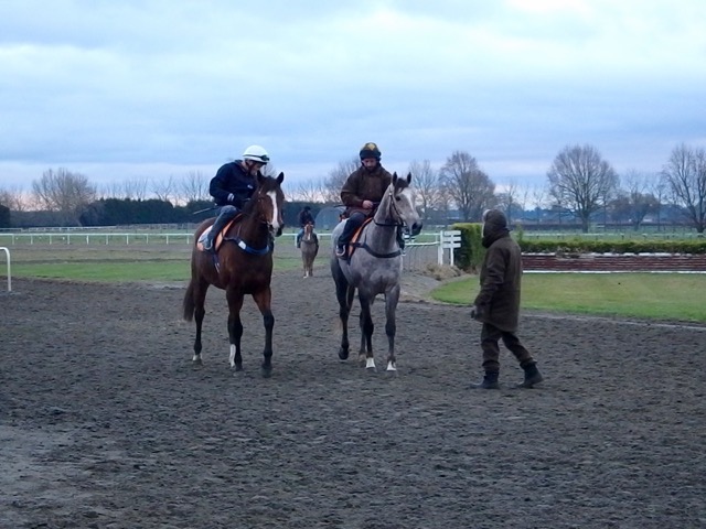 Ekraarstatic & Carmenize