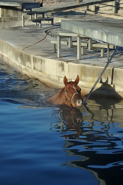 Linch swim