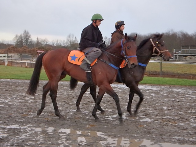 Rocksun & Scrutinize