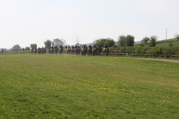 Walking-round-the-paddock