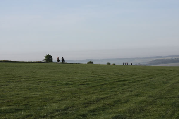 Working-on-Grass