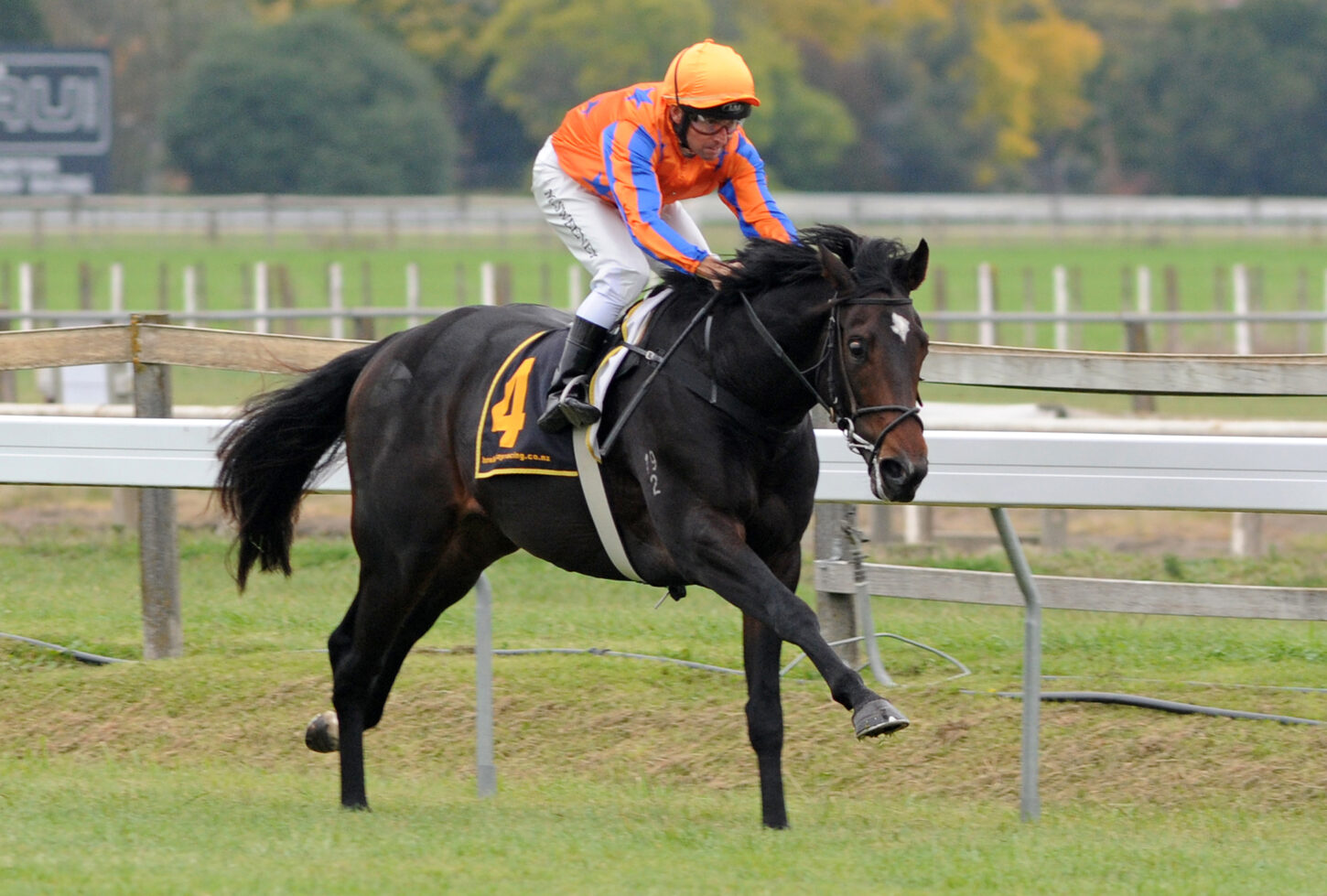 Xtravagant 18-4-2015 - Race Images photo (1)