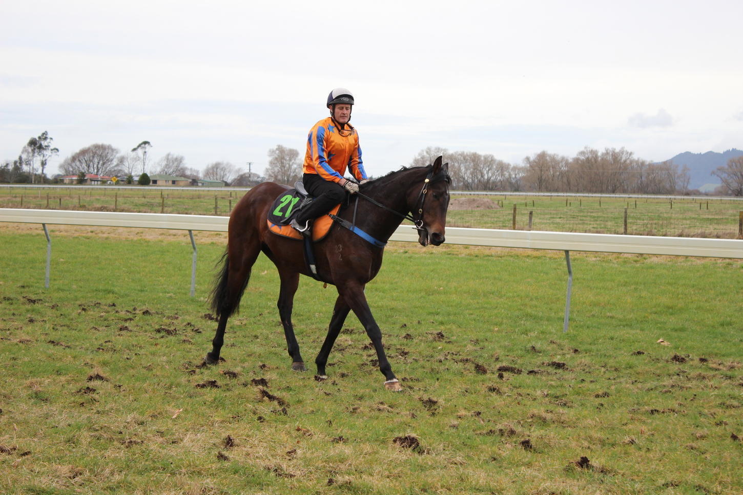Castledale:Elianto 1