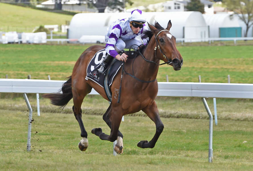 Interstellar-Taupo18-9-2015Raceimagespho-L