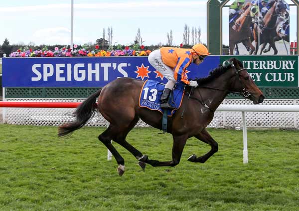 PRINCESS-DAVONE-WIN-15008