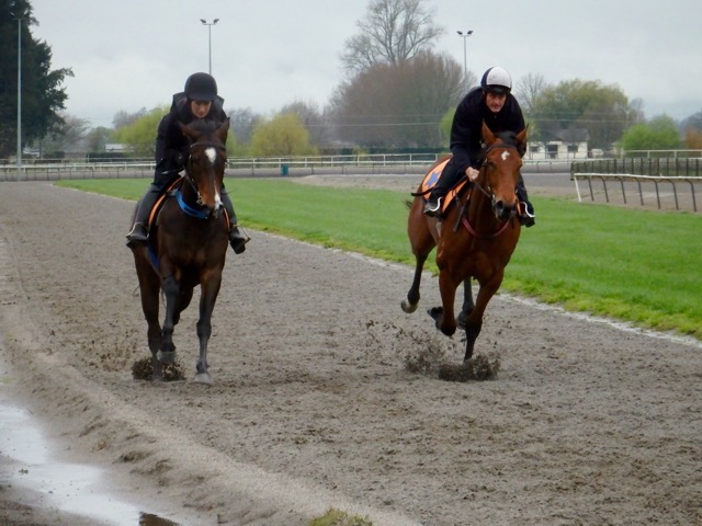 Tavis Star and Il Piu Veloce