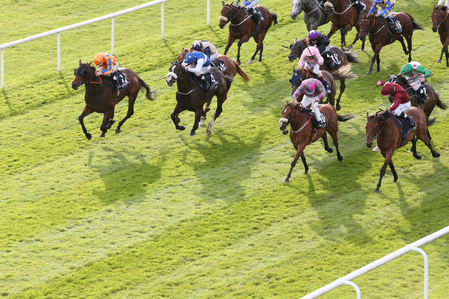 HORSE RACING