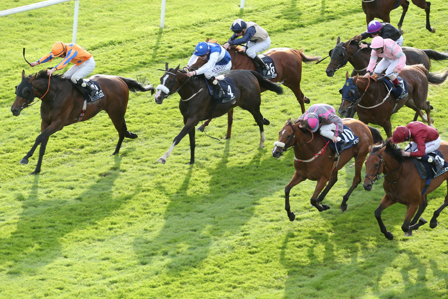 HORSE RACING