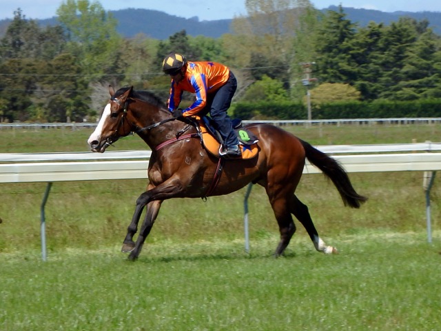 Board trial